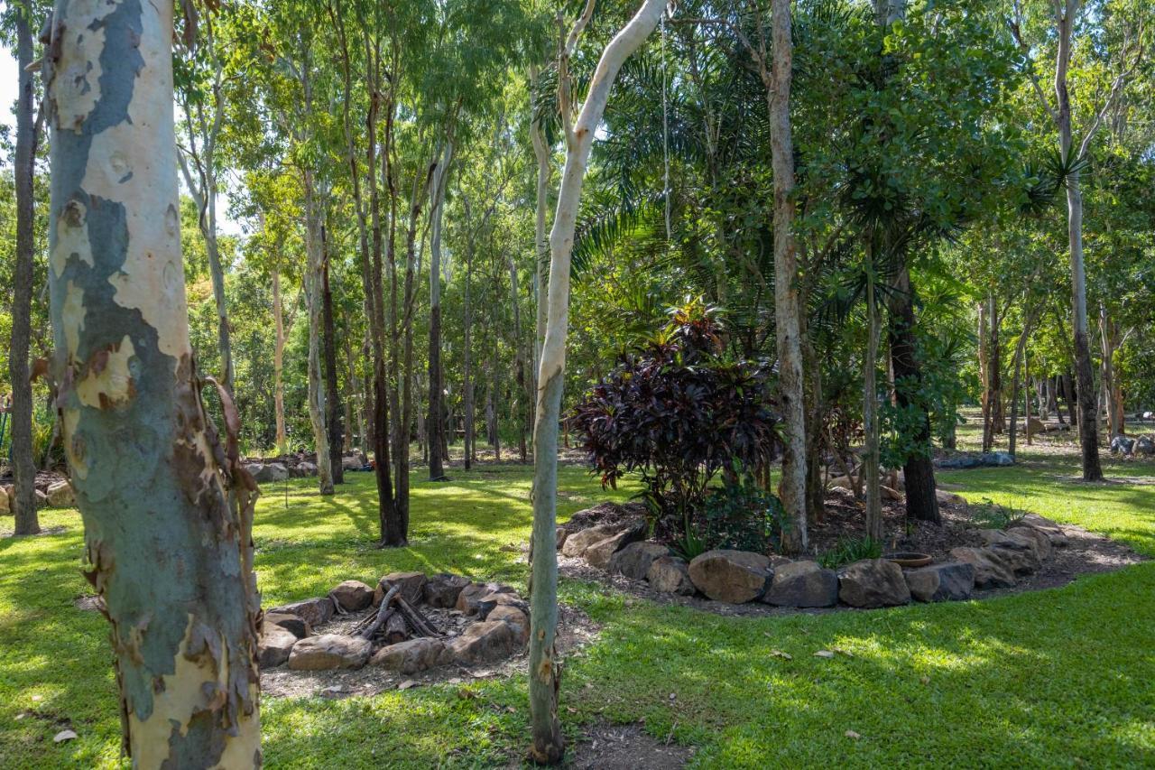 Airlie Beach Eco Cabins - Adults Only Exterior photo
